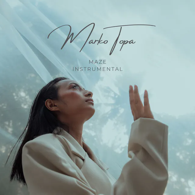 Maze Instrumental: A serene acoustic journey by a peaceful nostalgia-infused band.