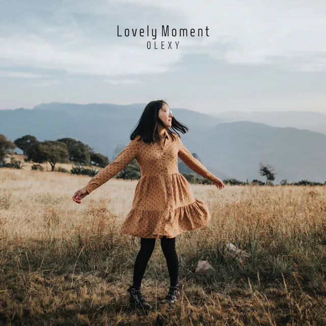 Erleben Sie den sentimentalen Charme von „Lovely Moment“, einem verträumten Akustikgitarren-Track.