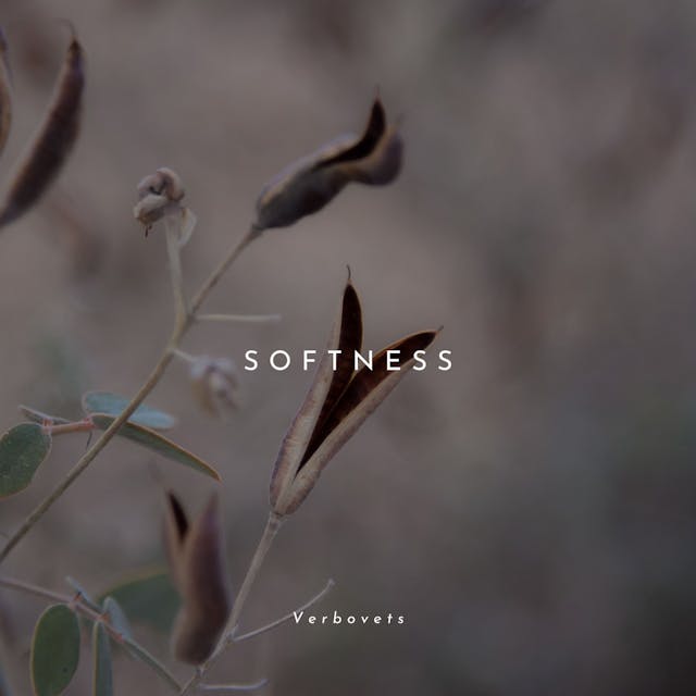 Experience the exquisite beauty of "Softness," a piano solo that evokes deep sentiments and melancholic emotions.