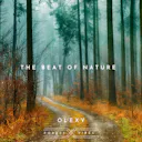 "The Beat of Nature" is an acoustic track that captures the hopeful and peaceful essence of nature. Let its soothing melody transport you to a serene place.
