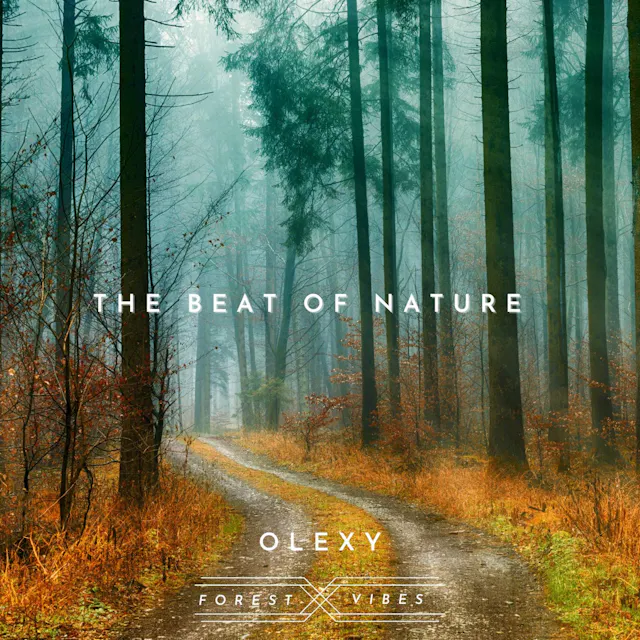 "The Beat of Nature" is an acoustic track that captures the hopeful and peaceful essence of nature.