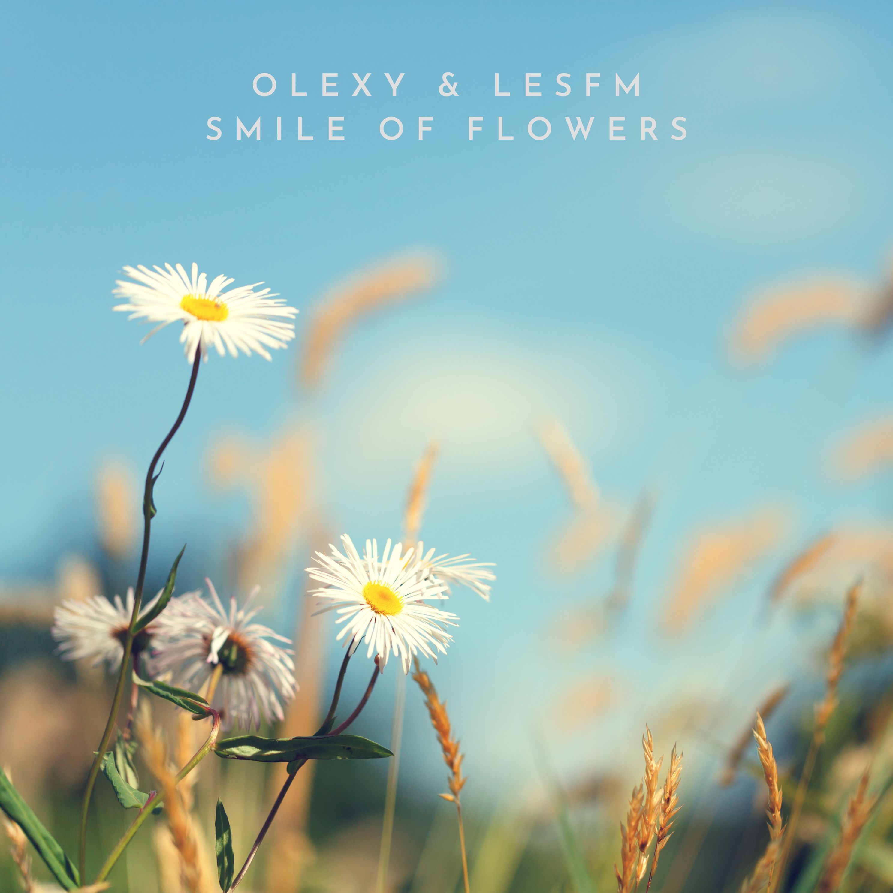 Насолоджуйтесь спокійними мелодіями акустичної гітари з «Smile of Flowers» – спокійним треком, який заспокоює душу.