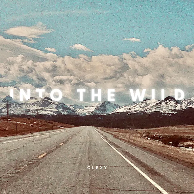 Get lost in the emotive melodies of 'Into the Wild' - a touching acoustic guitar track that tugs at your heartstrings.