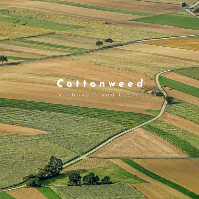 Embrace the poignant beauty of "Cottonweed," a solo piano masterpiece that delicately weaves melancholy and sentiment.