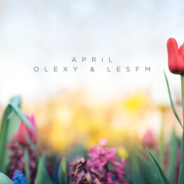 Feel the heartfelt melodies of April in this acoustic guitar track.