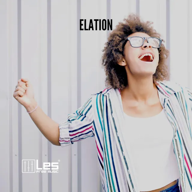 Elation là một bản nhạc sống động và lạc quan với những giai điệu piano kỳ quặc sẽ nâng cao tinh thần của bạn và thêm cảm giác vui vẻ cho dự án của bạn.