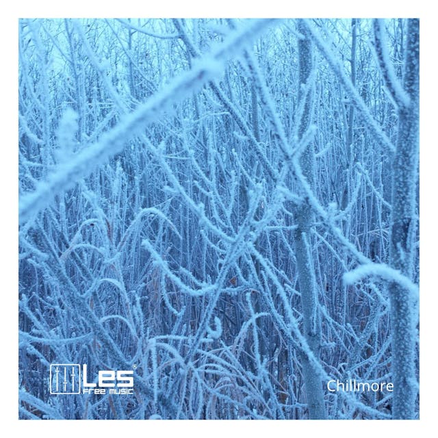 "The Cold Weather (Winter)" is an ambient and relaxing music track that evokes sentimental feelings. Let its soothing melodies transport you to a calm and peaceful state.