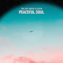 Побалуйте себя безмятежными мелодиями «Peaceful Soul», эмбиент-трека, вызывающего сентиментальность и спокойствие.