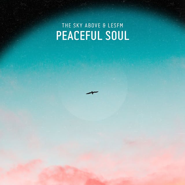Geniet van de serene melodieën van 'Peaceful Soul', een ambient nummer dat sentimentaliteit en rust oproept.