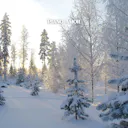 Experience the emotional depth of winter with sentimental and romantic piano music. Let the haunting melodies transport you to a world of introspection and reflection.