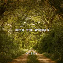 Experience a happy, acoustic journey into the woods with sentimental and romantic vibes. Let the music transport you to a place of pure joy.