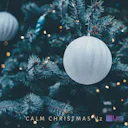 Enjoy the festive sounds of "Sans Day Carol" this Christmas holiday season.