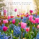 Ponořte se do klidné krásy „Flowers Garden“ – okouzlující aranžmá akustické kapely, které kvete sentimentem a šarmem. Nechte se jeho melodiemi přenést do klidné oázy emocí.