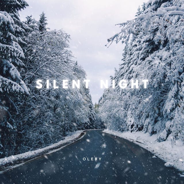 매혹적인 'Silent Night (Acoustic Indie Version)'로 축제 분위기에 빠져보세요.