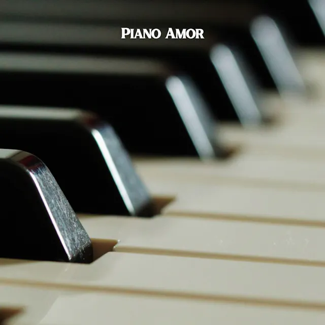 Rahatlama ve tefekkür anları için mükemmel olan Piyano parçamızın yatıştırıcı seslerinin keyfini çıkarın.