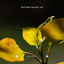 Experience the beauty of nature with 'Nature Wakes Up', an acoustic track that captures the sentimental and romantic essence of the great outdoors. Let the soothing melodies transport you to a peaceful state of mind.