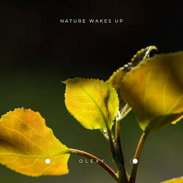Experience the beauty of nature with 'Nature Wakes Up', an acoustic track that captures the sentimental and romantic essence of the great outdoors.