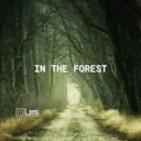 평화로운 선율과 명상적인 리듬이 어우러진 어쿠스틱 명곡 'In The Forest'로 자연의 고요함을 경험해 보세요. 고요함과 휴식의 고요한 세계로 이동하십시오.