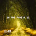 In The Forest 2 on rauhallinen akustinen kappale, joka herättää toivon ja rauhallisuuden tunteen. Tämä rauhallinen koostumus sopii täydellisesti luontoaiheisiin projekteihin, ja se vie sinut rauhallisuuden ja rentoutumisen maailmaan.