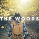 Get lost in the mesmerizing melody of 'The Woods' - an acoustic folk track that will inspire and uplift you. Let the soothing sounds of the guitar and vocals take you on a journey of tranquility and hope. Listen now.