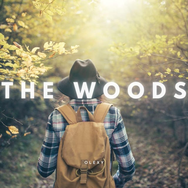 Get lost in the mesmerizing melody of 'The Woods' - an acoustic folk track that will inspire and uplift you. Let the soothing sounds of the guitar and vocals take you on a journey of tranquility and hope. Listen now.
