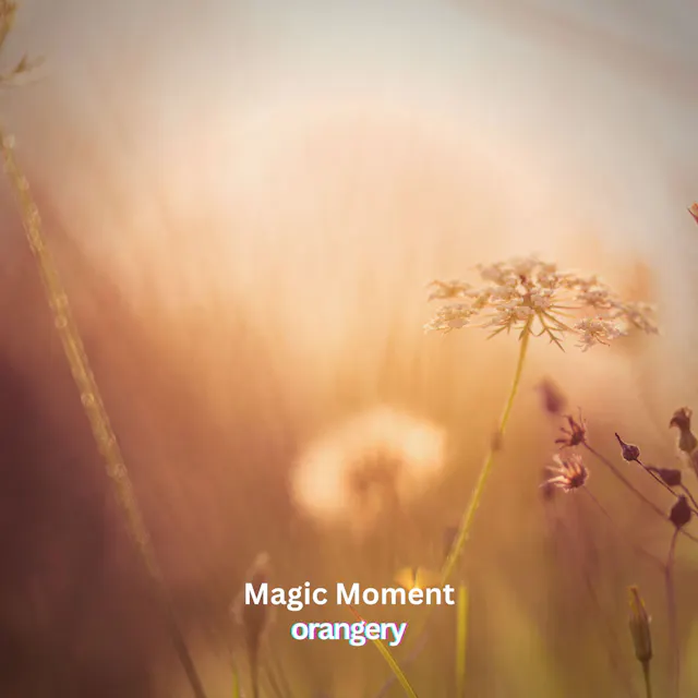 Experience the sentimental charm of 'Magic Moment' with acoustic solo guitar.