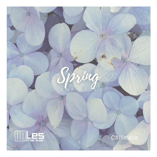 Ambiance Spring is a chilled-out electronic track perfect for relaxation. With its soothing vibe and melodic beats, this track is ideal for unwinding after a long day. Let the mellow tones transport you to a place of calm and serenity.