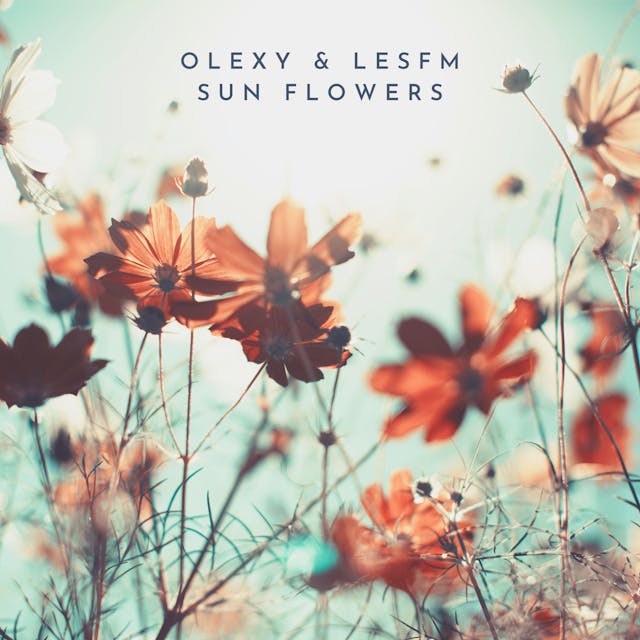 Enjoy serene melodies with our acoustic guitar track 'Sun Flowers.