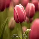 Siente la conmovedora serenata de "Tulip's Love", una pista de guitarra acústica que encanta con su sincera melodía.